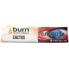 Табак Burn 20/25 гр Cactus Кактус