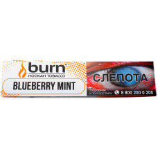 Табак Burn 25 гр Blueberry Mint Черника с Мятой