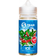 Жидкость S Team Salt 100 мл Ice Чай с Брусникой 3 мг/мл