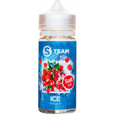 Жидкость S Team Salt 100 мл Ice Ягодка 3 мг/мл